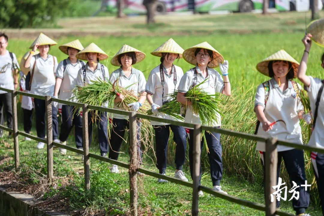 陕西省教育厅最新通知：免费发放指导手册，促进全省劳动教育发展！