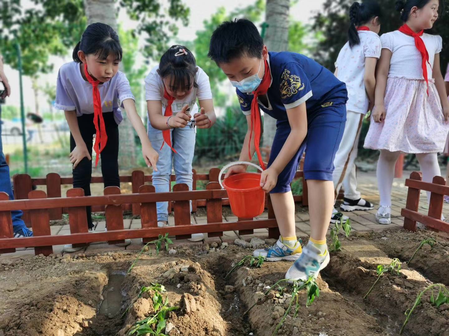 67家单位入选第二批劳动教育基地！详细名单抢先知！