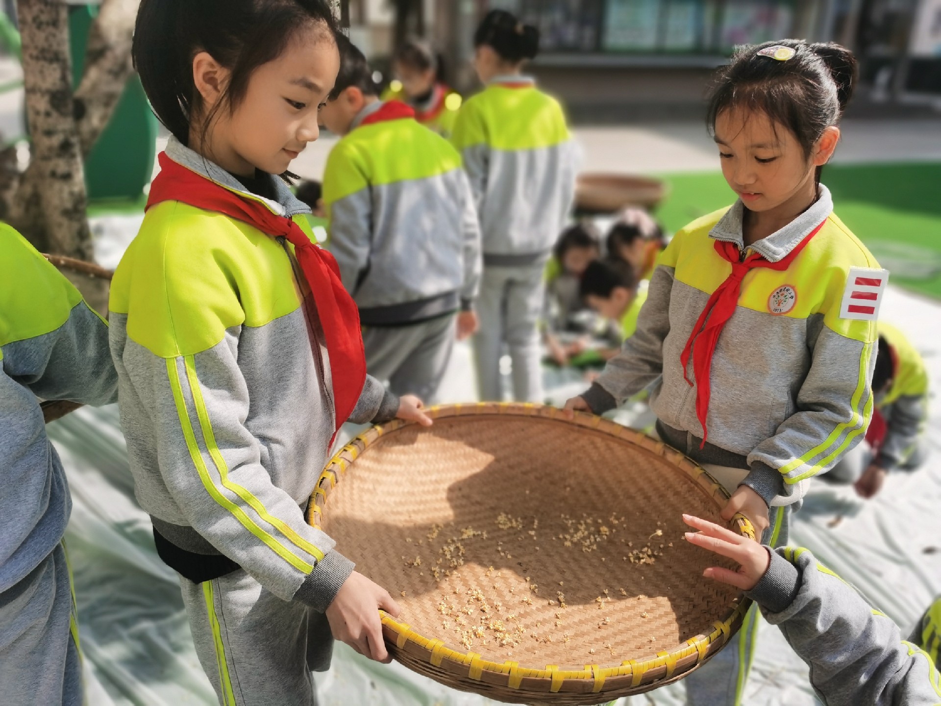 如何才能入选劳动教育基地？遴选标准大揭秘！