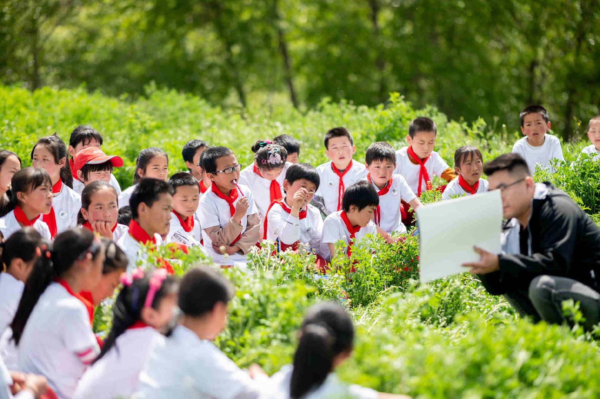 14家入选，1家拟摘牌！酒泉市第三批中小学生研学旅行基地名单公示！