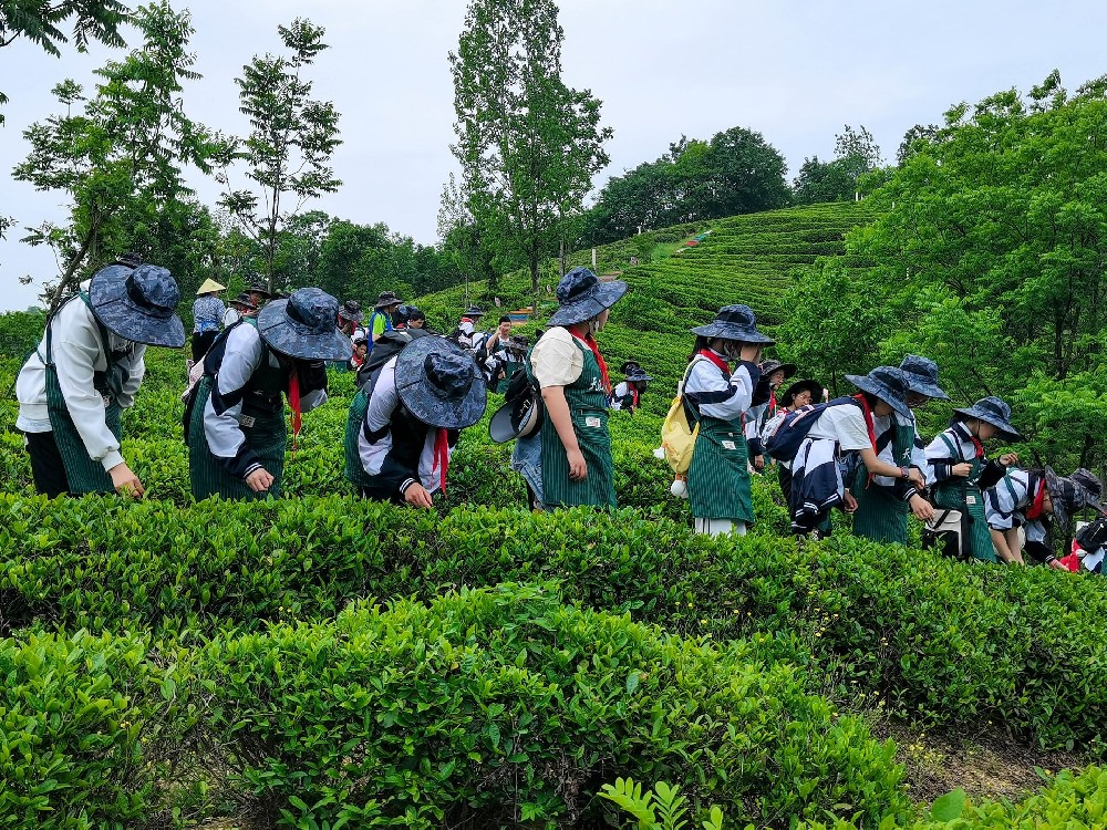 第三批铜陵市中小学生研学实践教育基地评选名单公示